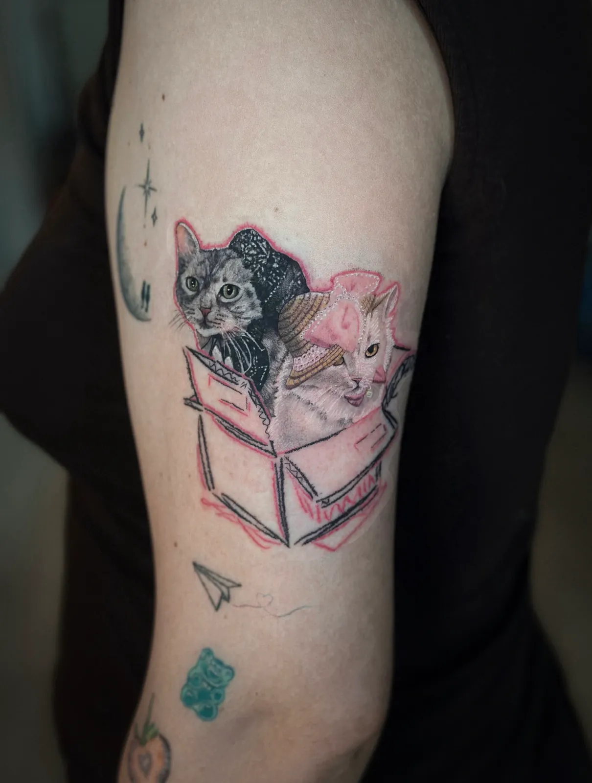 Tatuaj color pe braț cu două pisici într-o cutie de carton, purtând bonete de dantelă